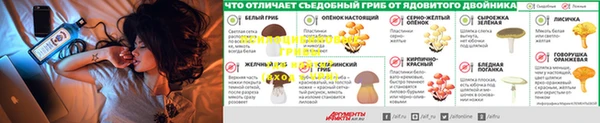 хмурый Ельня